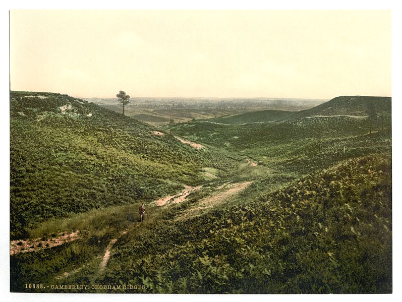 File:Chobham Ridges, Camberley, England-LCCN2002696445.jpg