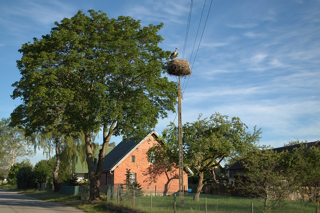 Trzebuń (województwo pomorskie)