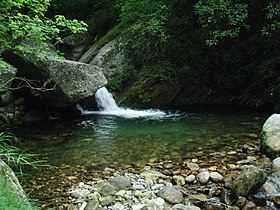 River in Great Himalayan National Park