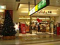 新潟駅（CoCoLo本館）