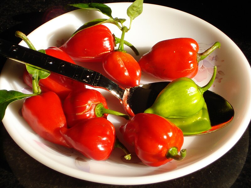 File:Colours of Capsicum.jpg