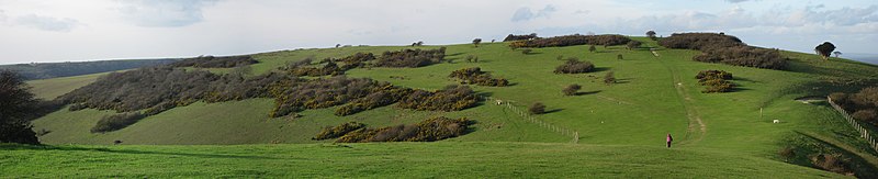 File:Coombe Hill - geograph.org.uk - 2709481.jpg