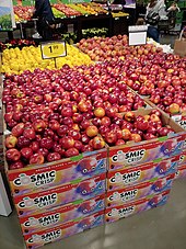 Cosmic Crisp Apples - Organic Cosmic Crisp Apples - Washington Fruit