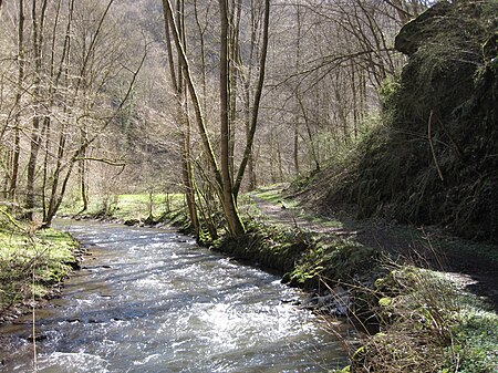 Dörsbach Jammertal (01)