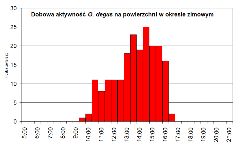 File:Daily acivity of O. degus in winter.png