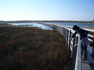 Ilha Do Príncipe Eduardo: Etimologia, História, Geografia