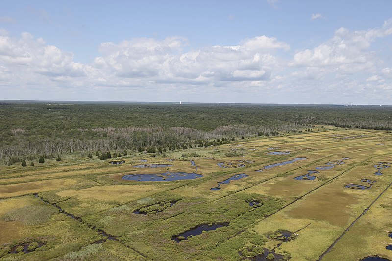 File:Day 2 - Forsythe National Wildlife Refuge Flyover (16663310352).jpg