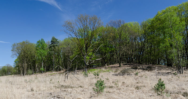 File:De-Meinweg-Landschaft-Fruehjahr-2013-06.jpg