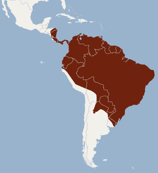 File:Distribution of Myotis riparius.png