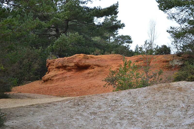 File:Disused quarry, St Catherine's Hill, Dorset..JPG