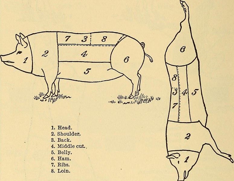 File:Dr. Evans' How to keep well; (1917) (14583500320).jpg