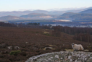 <span class="mw-page-title-main">Dunachton</span> Human settlement in Scotland