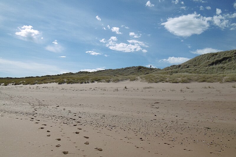 File:Dune formation, Blackdog Links - geograph.org.uk - 5643623.jpg