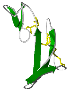 Fattore di crescita epidermico (EGF)