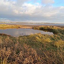 The remains of the Tudor blockhouse at East Mersea.