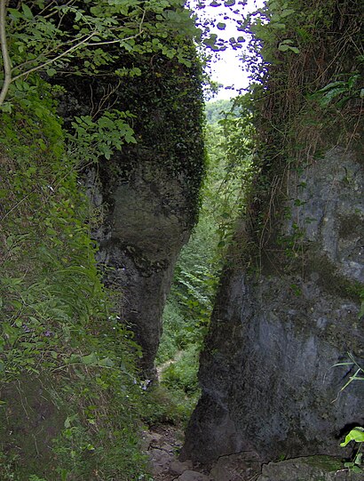 How to get to Ebbor Gorge with public transport- About the place