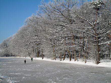 ice meadow flooded for ice-skating in the winter Eiswiese stadtpark guetersloh im winter.jpg