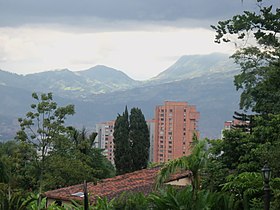 Wiks va canefa revava ke Envigado