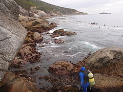 Diver preparing to enter the water at Finlay's Point