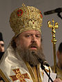 Timotei Aioanei (Prahoveanul) Episcop-vicar al Arhiepiscopiei Bucureştilor