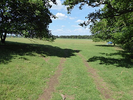 Eriswell Low Warren