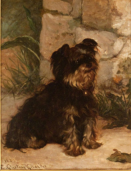 A painting from the 19th century depicting a Yorkshire-like terrier by Ernest Gustave Girardot