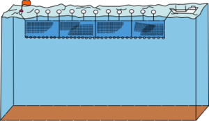 Drift Netting