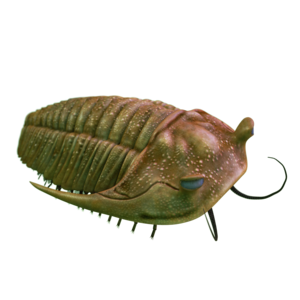 †Pharostoma. Trilobiidid olid tänapäevaste lülijalgsete loomade kauged eellased.