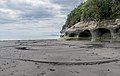 * Nomination Estuary of Waikaramarama Stream in Taranaki Region, of New Zealand. --Tournasol7 08:05, 11 February 2020 (UTC) * Promotion  Support Good quality. --JoachimKohler-HB 08:36, 11 February 2020 (UTC)