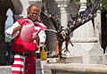 Falconer at Fisherman’s Bastion trying to cool off his eagle.jpg