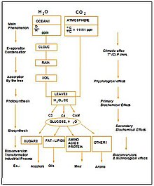 Figure 3 - Isotopic Fractionation Sources Figure 3 - Isotopic Fractionation Sources.JPG