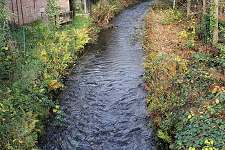 The Finkenbach in Hirschhorn