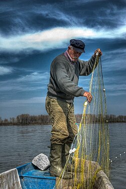 Fisherman on Danube