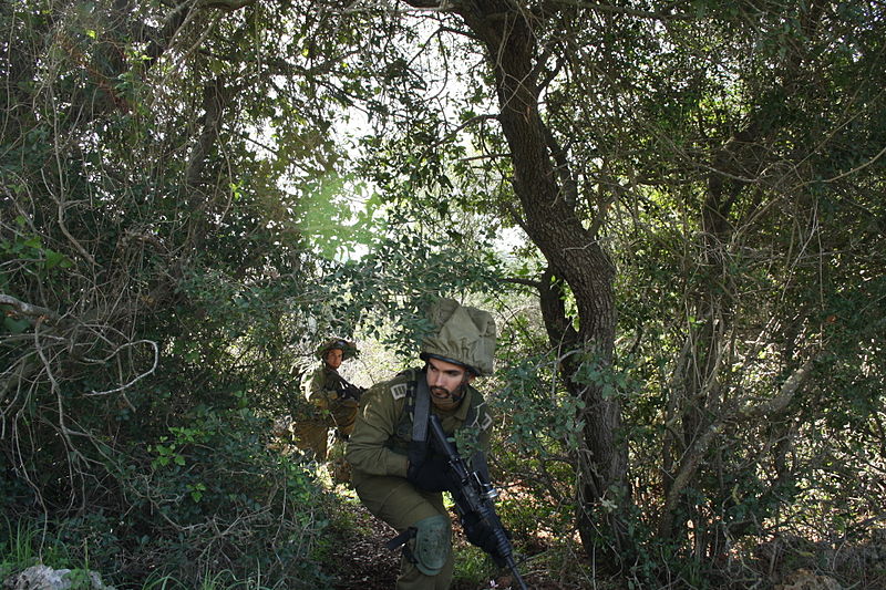 File:Flickr - Israel Defense Forces - IDF Elite Units' Soldiers Take Cover in the Elyakim Combat Training Base (12).jpg