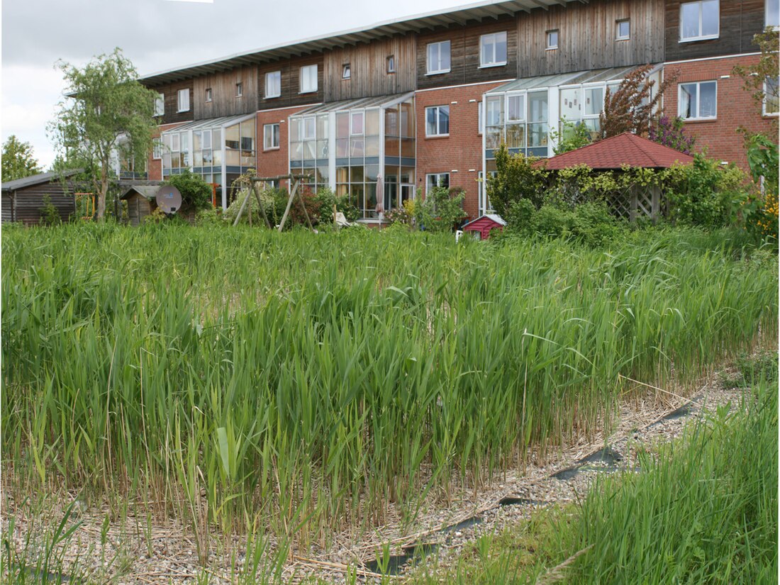 Constructed wetland