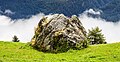 * Nomination Flurinaweg between Prui and Motta Naluns. Beautiful overgrown boulders along the mountain path. --Agnes Monkelbaan 05:27, 12 February 2024 (UTC) * Promotion  Support Good quality. --Johann Jaritz 06:41, 12 February 2024 (UTC)