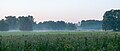 * Nomination: Fog over the English Garden in Munich after a Summer rain --MB-one 21:21, 29 August 2024 (UTC) * * Review needed