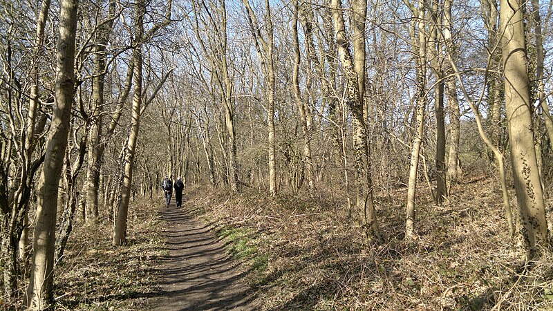 File:Footpath on High Hunsley Circuit (geograph 4380757).jpg