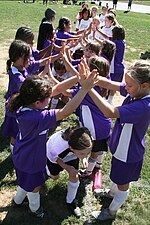 Thumbnail for Gender in youth sports