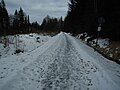 Rad- und Wanderweg auf der ehemaligen Bahntrasse Nabburg-Schönsee bei Grünthal