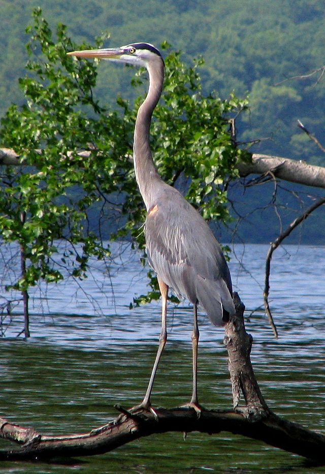 Beaver Pond State Park - Wikipedia