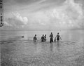 Group of scientists wading out on to the reef to examine location for spreading fish poison at Namu Island, 1947 (DONALDSON 90).jpeg