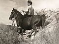 Gunther Paetsch riding an Arabian horse bareback.jpg