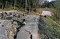 * Nomination Landslip on Albtrauf (Swabian Jura) near Albstadt-Onstmettingen --R-bitzer 23:41, 14 March 2016 (UTC) * Decline Artifacts in the shadows and overall unsharpness. Ram-Man 19:43, 19 March 2016 (UTC)