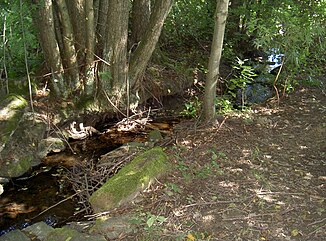 Drath near the Hannesried Trath settlement