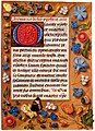 Image 30Book of Hours (from History of painting)