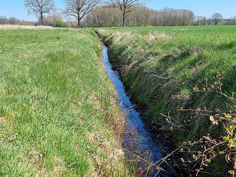 File:Hesedorfer Graben (Mehde-Aue).jpg