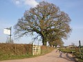 Thumbnail for File:Hitts Barton Equestrian Farm - geograph.org.uk - 1808179.jpg