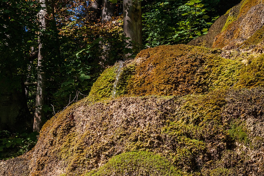 Hoher Brunnen bei Sollngriesbach