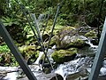 Hollyford Track (Fjordland): Drei-Seil-Brücke in nur geringer Höhe